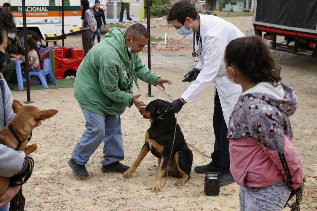Preste atención si vive en Soacha para esterilizar a su mascota La Alcaldía de Soacha firmó un contrato con la empresa Crece S.A.S por un valor cercano de 300 millones de pesos para esterilizar de forma gratuita a perros y gatos en las comunas unos, tres, seis y corregimiento uno.