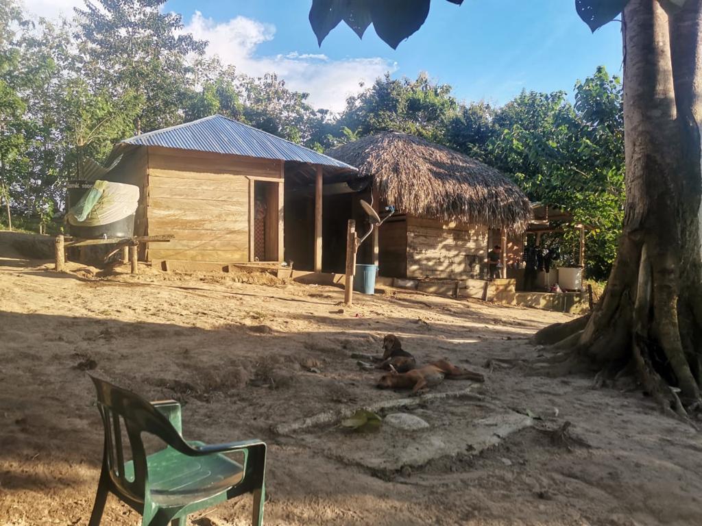 La guarida en la que se refugiaba alias 'Otoniel' 1 La guarida en la que se refugiaba alias 'Otoniel' Cama de madera, colchón ortopédico, DirecTV y tres perros son algunas de los elementos que encontraron en lugar donde se escondía Dairo Antonio Úsuga, alias ‘Otoniel’, máximo cabecilla del `Clan del Golfo.