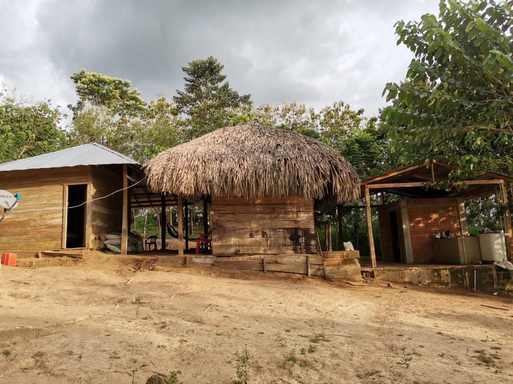La guarida en la que se refugiaba alias 'Otoniel' 2 La guarida en la que se refugiaba alias 'Otoniel' Cama de madera, colchón ortopédico, DirecTV y tres perros son algunas de los elementos que encontraron en lugar donde se escondía Dairo Antonio Úsuga, alias ‘Otoniel’, máximo cabecilla del `Clan del Golfo.