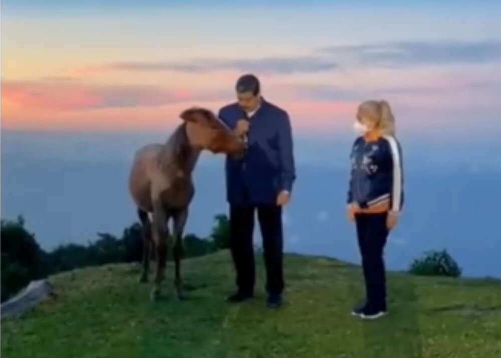 El video de Nicolás Maduro causa revuelo por hablarle a un caballo 1 El video de Nicolás Maduro causa revuelo por hablarle a un caballo En las últimas horas un video del presidente de Venezuela, Nicolás Maduro, causó gran sensación y una ola de críticas, pues no deja de sorprender sus particulares acciones o declaraciones; en esta ocasión se puso a hablar con un caballo.