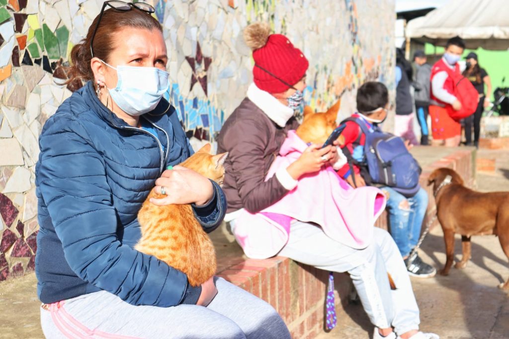 4.400 perros y gatos serán esterilizados gratis en Soacha 1 4.400 perros y gatos serán esterilizados gratis en Soacha En el barrio La Isla, de la comuna cuatro de Soacha, comenzó un proceso de esterilización para perros y gatos con el que se espera alcanzar una cobertura de 4.400 animales de compañía.