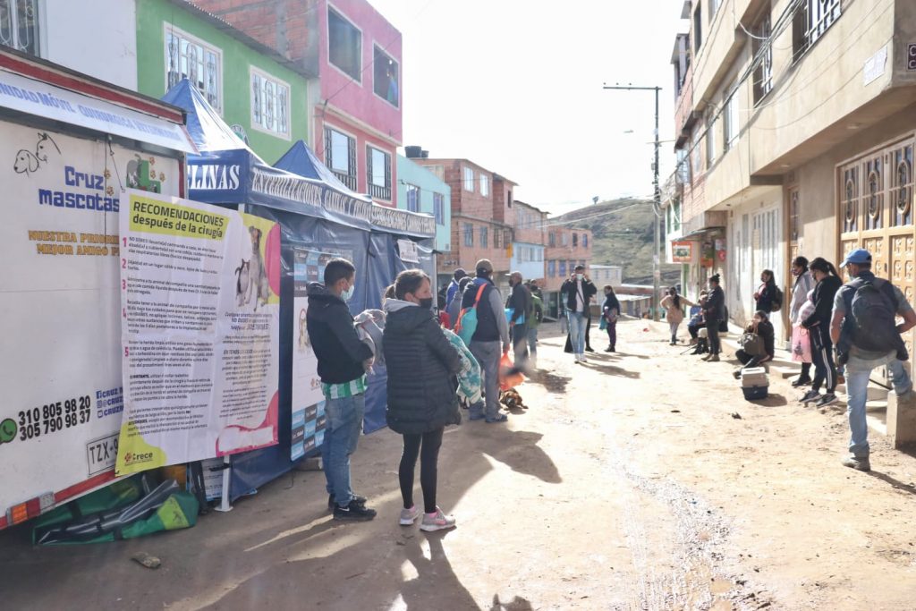 4.400 perros y gatos serán esterilizados gratis en Soacha 3 4.400 perros y gatos serán esterilizados gratis en Soacha En el barrio La Isla, de la comuna cuatro de Soacha, comenzó un proceso de esterilización para perros y gatos con el que se espera alcanzar una cobertura de 4.400 animales de compañía.