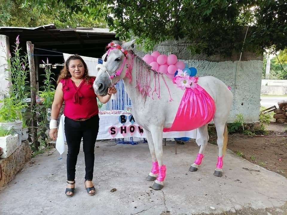 No escatimaron para festejar el baby shower de su yegua 2 No escatimaron para festejar el baby shower de su yegua Los dueños de una yegua llamada Camila consideran que ella no es un simple animal de carga, sino un miembro más de la familia, y por eso no escatimaron a la hora de prepararle y celebrarle un baby shower.