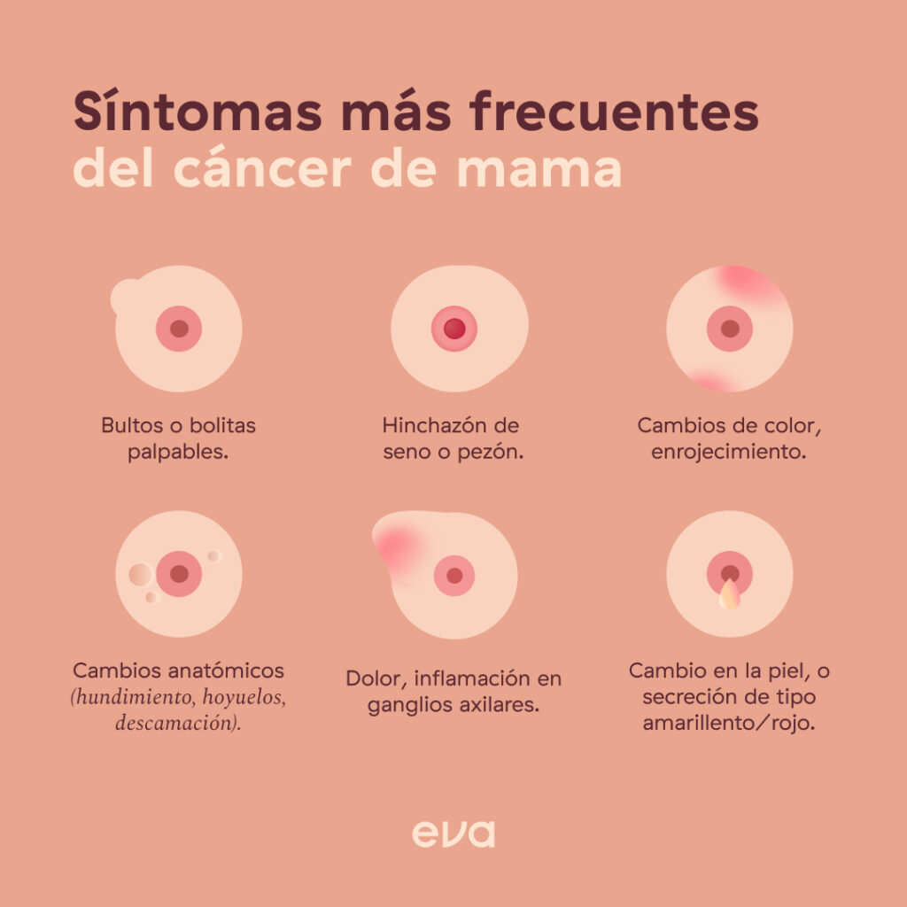 En el día de la lucha contra el cáncer de seno, hágase el autoexamen 3 En el día de la lucha contra el cáncer de seno, hágase el autoexamen Hoy es el día internacional de la lucha contra el cáncer de seno, una enfermedad por la que en Bogotá fallecieron 548 mujeres el año pasado. Es por esa razón que la Secretaría de Salud hace un llamado para que tanto ellas como los hombres se practiquen el autoexamen, la mejor forma para prevenir esta enfermedad.
