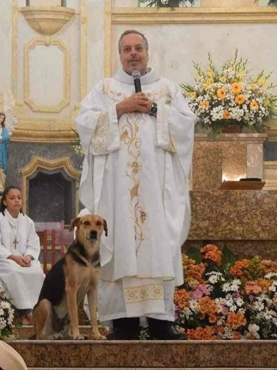 El sacerdote brasileño que rescata perritos y los lleva a eucaristía 1 El sacerdote brasileño que rescata perritos y los lleva a eucaristía Al menos una docena de perritos callejeros han encontrado en el sacerdote brasileño João Paulo Araujo Gomes a su ángel guardián.