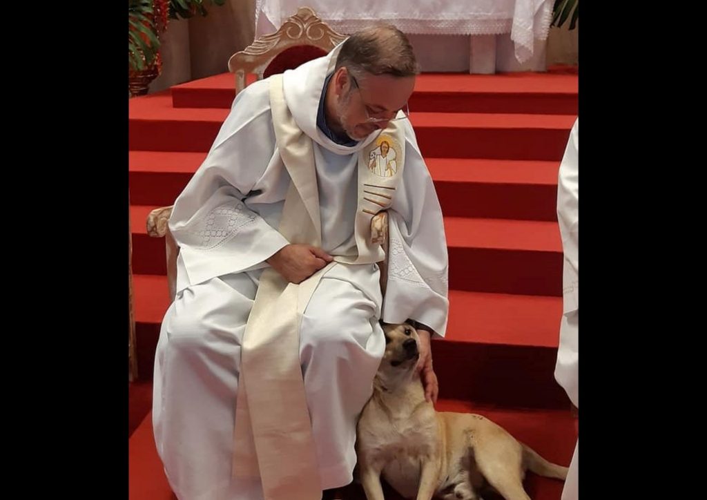El sacerdote brasileño que rescata perritos y los lleva a eucaristía 2 El sacerdote brasileño que rescata perritos y los lleva a eucaristía Al menos una docena de perritos callejeros han encontrado en el sacerdote brasileño João Paulo Araujo Gomes a su ángel guardián.