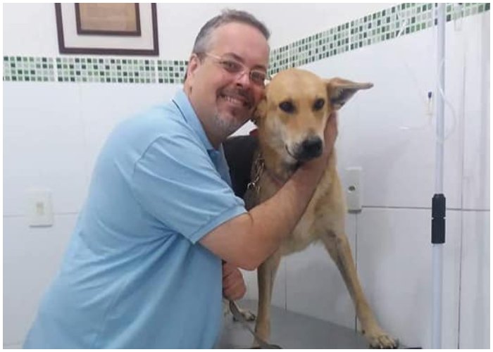 El sacerdote brasileño que rescata perritos y los lleva a eucaristía 3 El sacerdote brasileño que rescata perritos y los lleva a eucaristía Al menos una docena de perritos callejeros han encontrado en el sacerdote brasileño João Paulo Araujo Gomes a su ángel guardián.