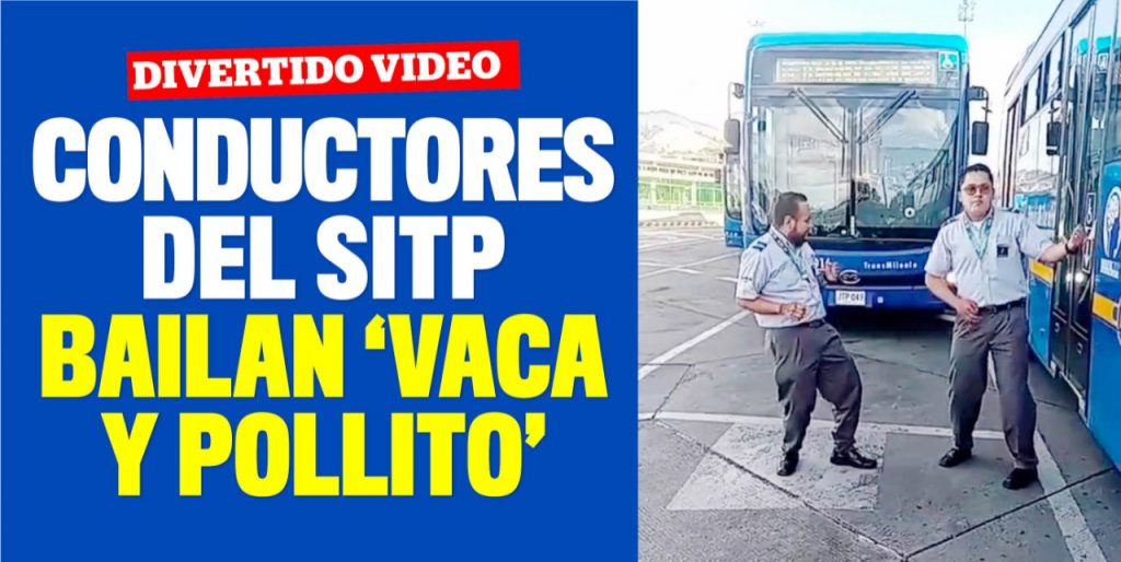 Conductores del SITP se divierten al bailar 'Vaca y Pollito' 1 Conductores del SITP se divierten al bailar 'Vaca y Pollito' Hace un par de meses un conductor del Sistema Integrado de Transporte Público (SITP) de Bogotá se dio a conocer por sus dotes al bailar K-pop en su bus. Seguro los miles de comentarios que generó en TikTok despertaron el interés de otros choferes del sistema, que decidieron seguir sus pasos.