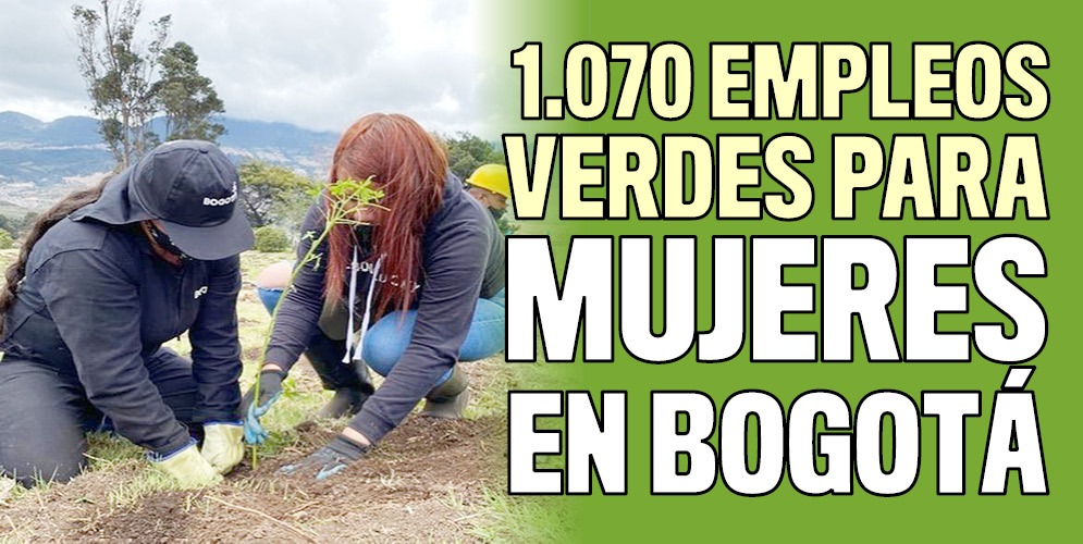 Mujeres trabajarán seis meses en labores de reverdecimiento 9 Mujeres trabajarán seis meses en labores de reverdecimiento La Alcaldía de Bogotá abrió este jueves la convocatoria de ‘Sembradoras por la ReactivAcción’, un proyecto para promover la recuperación económica sostenible e impulsar la inclusión de 1.070 mujeres en el mercado laboral, por medio de la generación de empleos verdes.