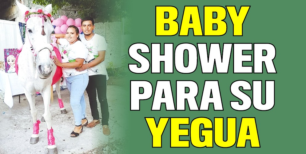 No escatimaron para festejar el baby shower de su yegua Los dueños de una yegua llamada Camila consideran que ella no es un simple animal de carga, sino un miembro más de la familia, y por eso no escatimaron a la hora de prepararle y celebrarle un baby shower.