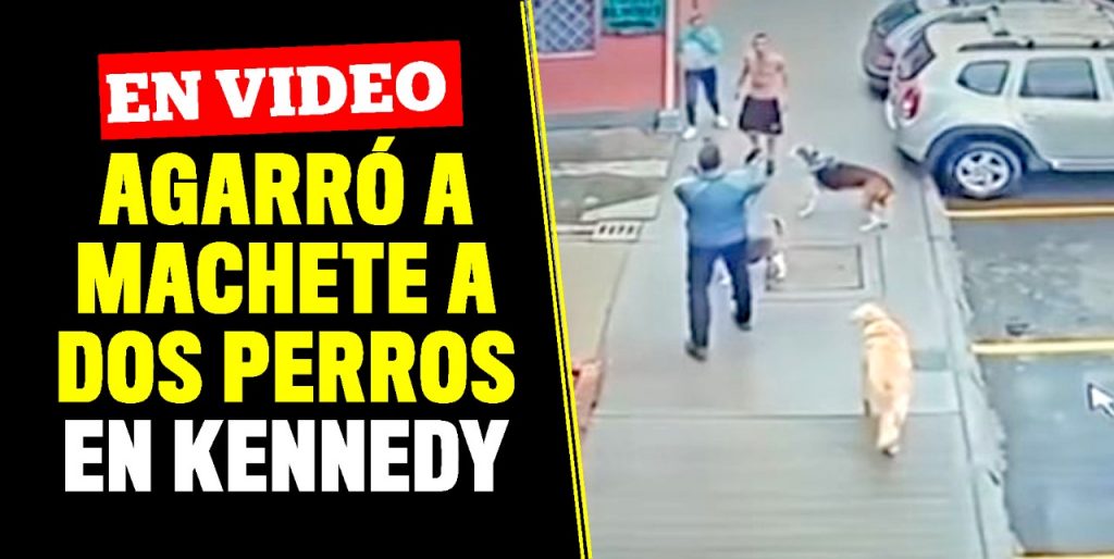 Intolerante agredió a dos perros con machete en Kennedy En video quedó gravada la agresión de un sujeto que agrede a machete a un ciudadano y a sus perros porque uno de los canes había hecho sus necesidades frente a su vivienda.