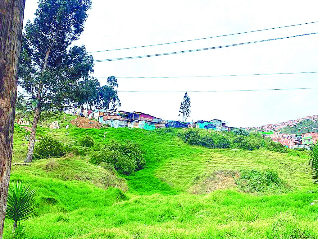 Crimen en invasión entre barrios La Estrella y Cedritos Sur 4 Crimen en invasión entre barrios La Estrella y Cedritos Sur Antes que su verdugo desenfundara su arma de fuego para quitarle la vida, Hendry Rafael Albornoz Navea (de 38 años) cruzó algunas palabras con él para decirle que la persona a quien buscaba en la vivienda no se encontraba y que solamente estaba él y una menor de edad.