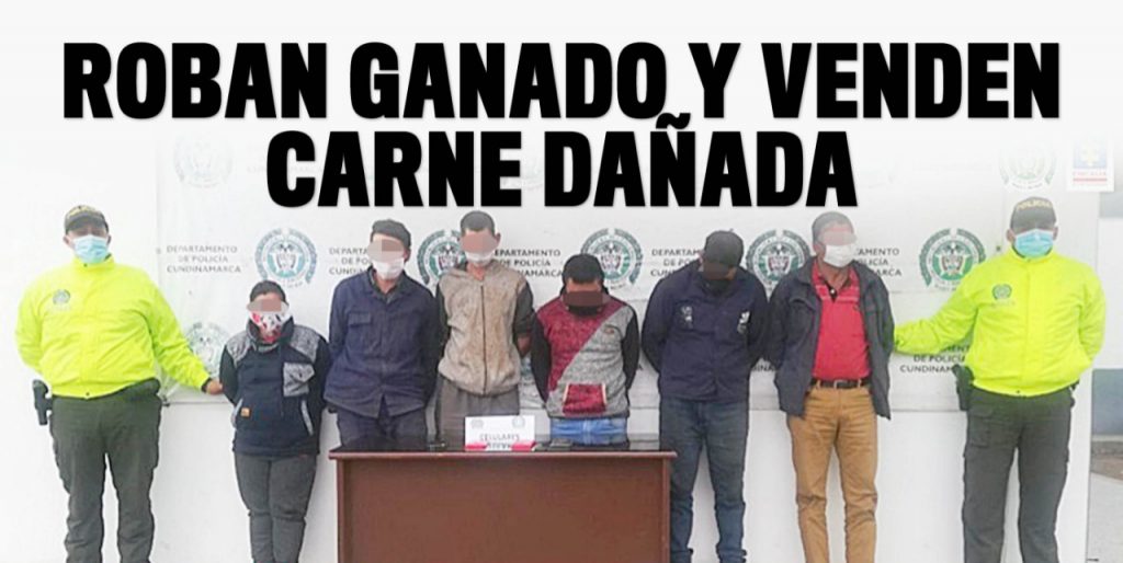 Hurtaban y sacrificaban ganado sin medidas de salubridad 6 Hurtaban y sacrificaban ganado sin medidas de salubridad Para nadie es un secreto que existen personas inescrupulosas, que buscan por todos los medios armar negocios ilegales para obtener ganancias para beneficio propio, sin importarles el bienestar o la salud de los demás.