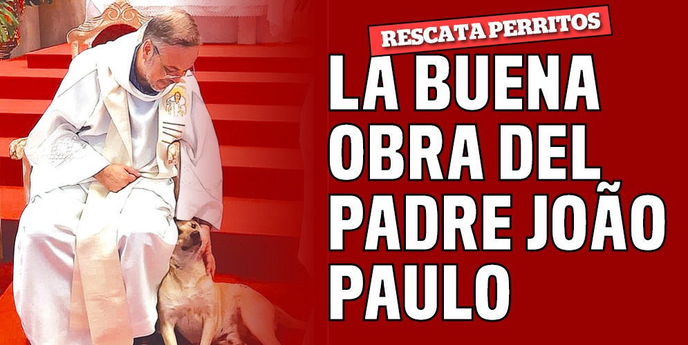 El sacerdote brasileño que rescata perritos y los lleva a eucaristía Al menos una docena de perritos callejeros han encontrado en el sacerdote brasileño João Paulo Araujo Gomes a su ángel guardián.