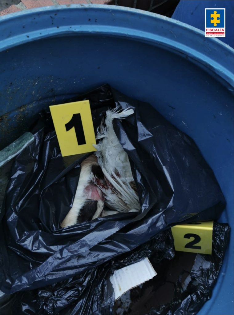 Judicializan a sujeto señalado de matar animales para ritual Este martes la Fiscalía General de la Nación dio a conocer la judicialización de un hombre señalado de matar animales en el norte de Bogotá, presuntamente para celebrar algunos ritos satánicos.
