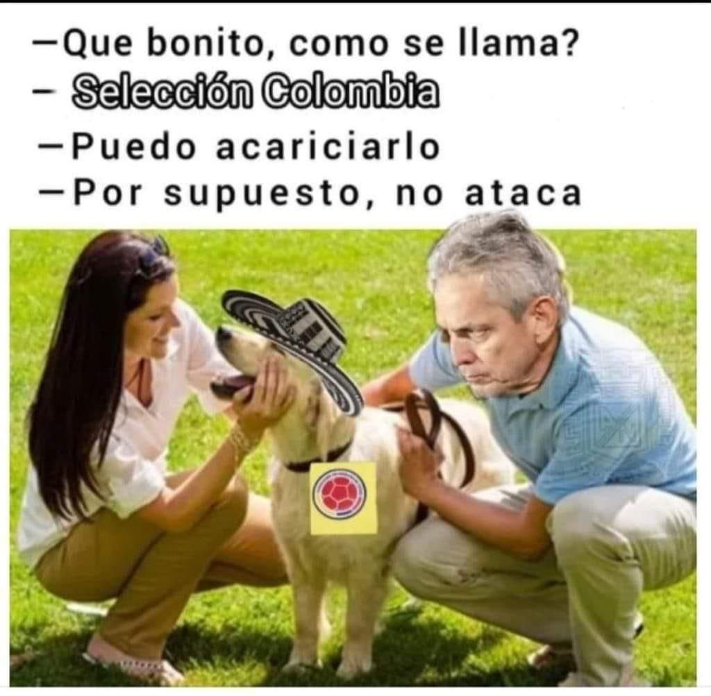 Con memes se la montan a la Selección tras empate con Paraguay 1 Con memes se la montan a la Selección tras empate con Paraguay El empate de anoche 0-0 contra Paraguay causó una ola de críticas contra el desempeño de la Selección Colombia y al técnico Reinaldo Rueda, pues el equipo acumuló cinco partidos consecutivos sin ganar, y lo más preocupante, sin anotar un solo gol.