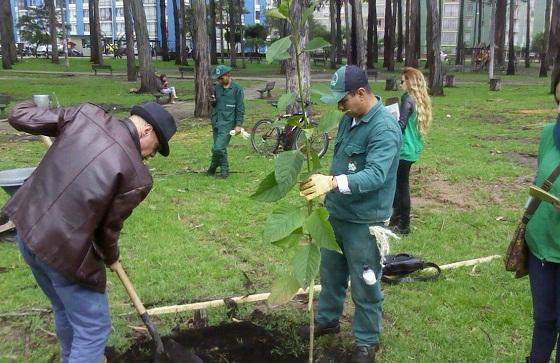 Bogotá se compromete a sembrar un millón de árboles Este miércoles, luego de la agenda internacional que cumplió en la Conferencia Mundial sobre Cambio Climático (COP26), la alcaldesa mayor, Claudia López, hizo un balance sobre el propósito de reverdecer a la capital del país.