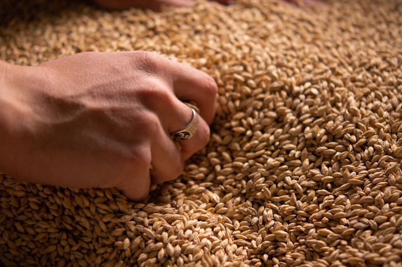 Hay problemas para producir ‘pola’ 3 Hay problemas para producir ‘pola’ Desde hace dos semanas, varios sectores económicos vienen advirtiendo de un problema a escala mundial y que está afectando la producción, como lo es el caso del pan o de textiles.