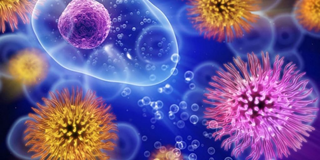 En el 'foco' de la resistencia bacteriana Varias entidades se han unido frente a la concientización sobre el uso de antimicrobianos. Bajo el lema ‘Corre la Voz’, la Organización Panamericana de la Salud y Organización Mundial de la Salud buscan frenar la resistencia a estos productos.