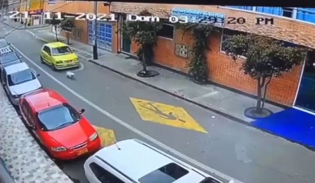Taxista arrolló cruelmente a un perrito en una calle de Bosa En las últimas horas se hizo viral un video que ha causado indignación, pues en este se ve a un taxi circulando por una vía de la localidad de Bosa, que de manera repudiable arrolló a un perrito, y para completar, huyó de la escena sin prestarle auxilio.