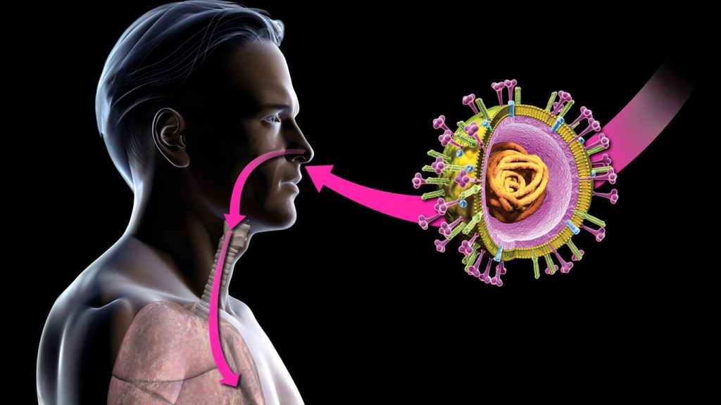 PÁRELE BOLAS A ESTE VIRUS En noviembre se celebra el Día Mundial del Prematuro y, como siempre, estas fechas son recordatorios para la prevención de enfermedades y cuidados en la salud.