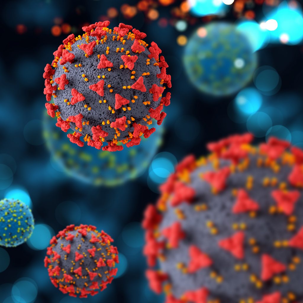 Las descabelladas teorías de Ómicron 2 Las descabelladas teorías de Ómicron El coronavirus es un tema serio, pero no faltan quienes quieren meternos más terror del que ya existe al hacer afirmaciones descabelladas y hasta irresponsables sobre la nueva cepa del COVID-19: Ómicron.