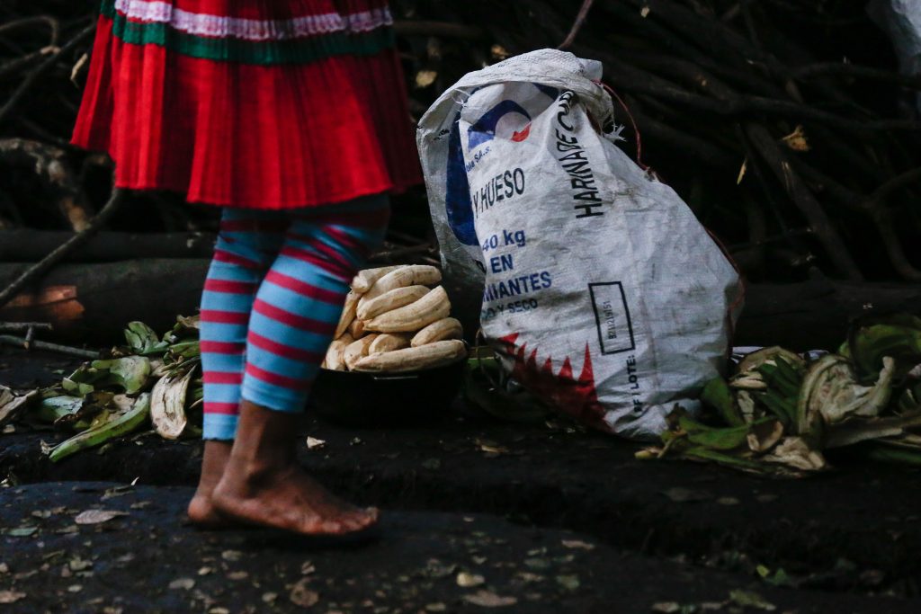 Indígenas asentados en Parque Nacional serían trasladados 1 Indígenas asentados en Parque Nacional serían trasladados Luego de tres meses de espera por un lugar donde se les garantice los derechos a la comunidad embera que se encuentra en el Parque Nacional, mientras es trasladada a sus departamentos de origen, serían trasladados a un albergue provisional.