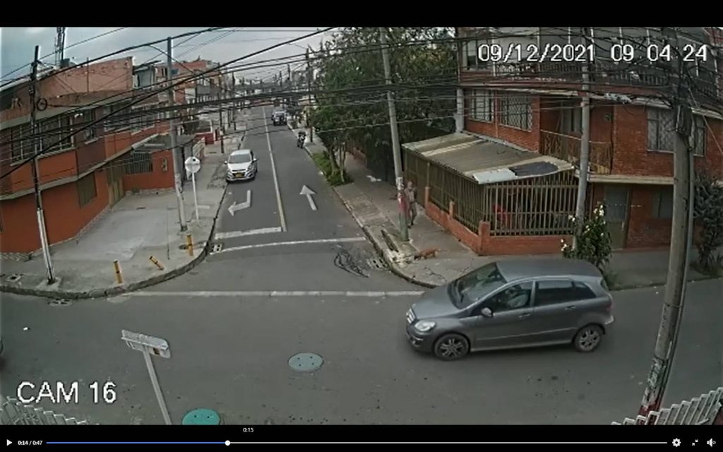 En el barrio Villa Luz conductor atropelló a un perrito Hace un par de semanas causó conmoción el caso de un perrito arrollado en la localidad de Kennedy por un taxista que, no contento con mandarle el carro de frente, huyó de la escena dejándolo herido de muerte. Ahora, en las últimas horas, se conoce un caso similar.