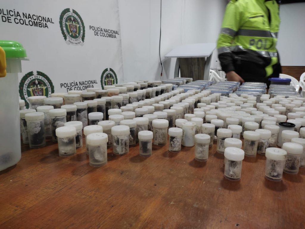 Iban a llevarse a Alemania 309 tarántulas, cucarachas y un escorpión 6 Iban a llevarse a Alemania 309 tarántulas, cucarachas y un escorpión Las autoridades del Aeropuerto Internacional El Dorado, en Bogotá, ya están acostumbradas a encontrar todo tipo de rarezas entre las pertenencias de los viajeros, y en las últimas horas una vez más se vieron sorprendidas por una gran cantidad de animales exóticos.