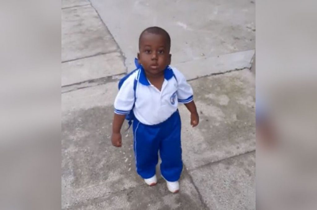 Yanfri volvió a cautivar las redes, ahora comiendo mango ¿Recuerda a Yanfri?, el pequeño niño que hace unos días se hizo viral cuando le decía a su padre que estaba caminando "como un hombre", volvió a cautivar las redes sociales con su inocencia y su gracia.