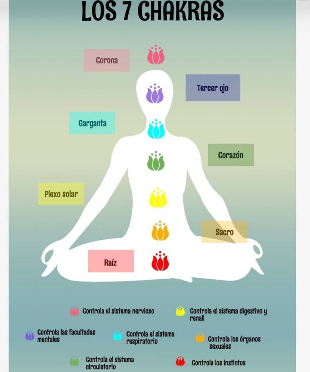 CONOZCA CÓMO ES LA ENERGÍA DE SU CUERPO 2 CONOZCA CÓMO ES LA ENERGÍA DE SU CUERPO Los chakras los tenemos todos los seres humanos.