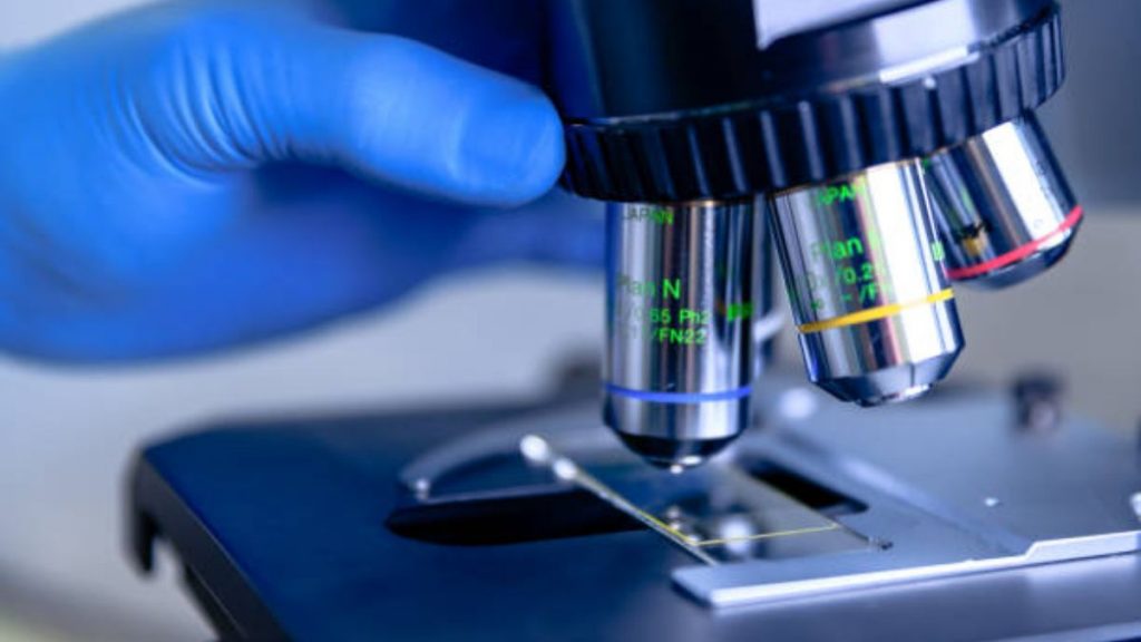 Las descabelladas teorías de Ómicron 1 Las descabelladas teorías de Ómicron El coronavirus es un tema serio, pero no faltan quienes quieren meternos más terror del que ya existe al hacer afirmaciones descabelladas y hasta irresponsables sobre la nueva cepa del COVID-19: Ómicron.