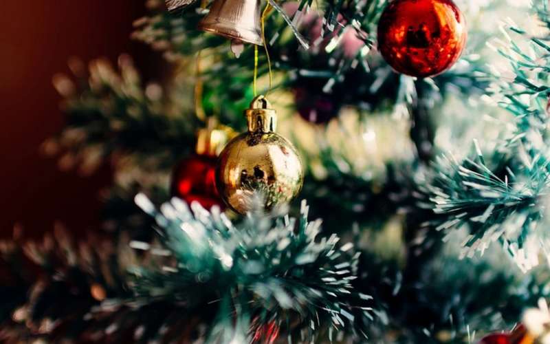 Los 9 consejos ambientales para Navidad 2 Los 9 consejos ambientales para Navidad El derroche, en muchos sentidos, es una de las características que envuelve la temporada decembrina, pero ojo, que sus costumbres no terminen pasándole cuenta de cobro a la naturaleza y nuestro entorno.