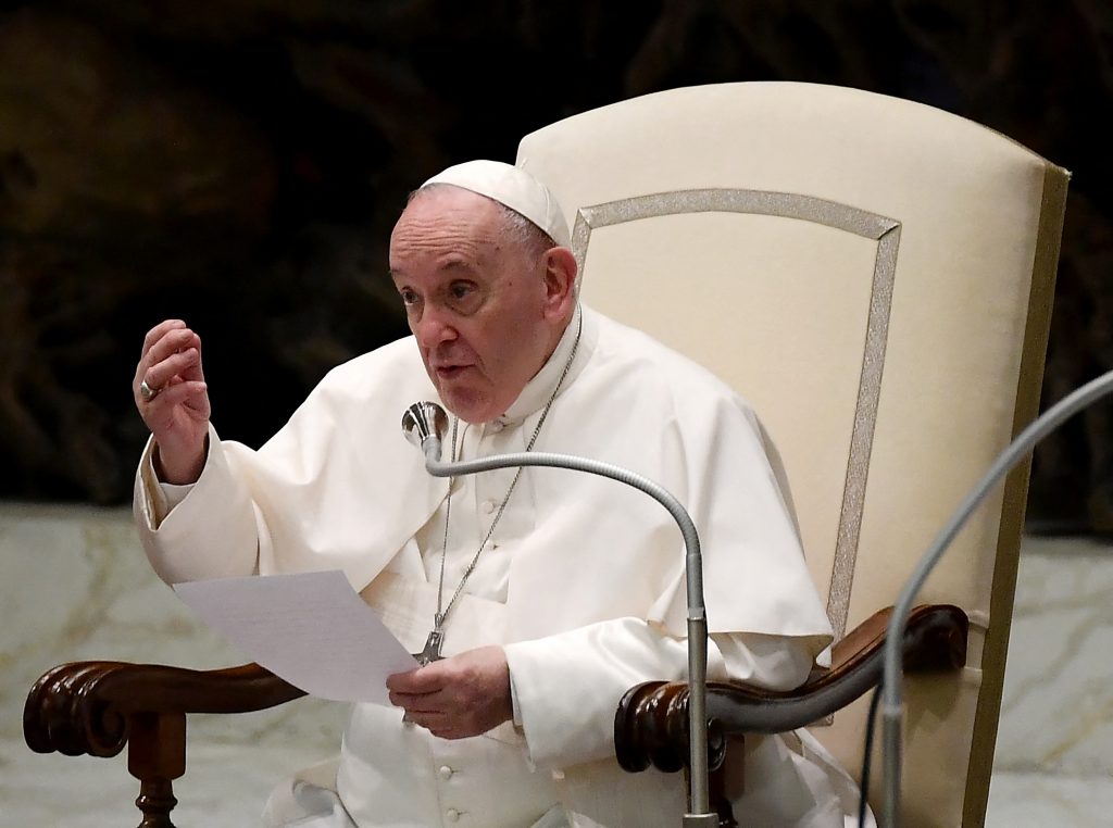 El papa lamenta que los animales domésticos remplacen a los hijos 9 El papa lamenta que los animales domésticos remplacen a los hijos El papa Francisco elogió la paternidad y la adopción durante la audiencia general del miércoles en el Vaticano y lamentó que las mascotas tomen a veces el lugar de los niños.
