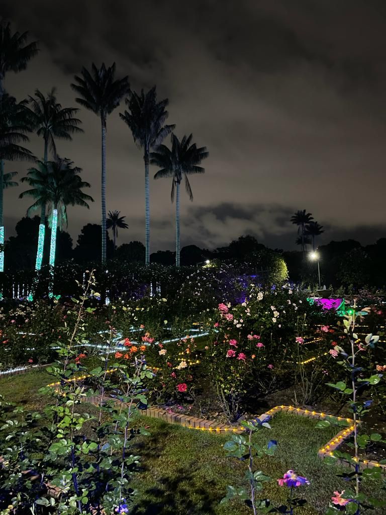 Últimos días para ir a ver el alumbrado del Jardín Botánico Uno de los sitios para salir de la rutina y un lugar predilecto para todos los turistas y los bogotanos es el Jardín Botánico. Este lugar tranquilo y de exploración es un destino predilecto, ya que cuenta con innumerables senderos, recorridos guiados, además de múltiples paisajes naturales.