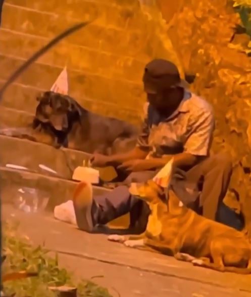 Así le ha cambiado la vida a 'Choco' luego de su video viral 1 Así le ha cambiado la vida a 'Choco' luego de su video viral El joven de 25 años conocido como 'Choco', quien deambula por las calles de Bucaramanga en compañía de sus perros, y se hizo viral en las redes sociales en los últimos días al ser grabado celebrándole el cumpleaños a una de sus mascotas. Desde ese momento en que se conoció su noble gesto, su vida empezó a dar un cambio inesperado, incluso hoy anunció que había sacado su cédula.