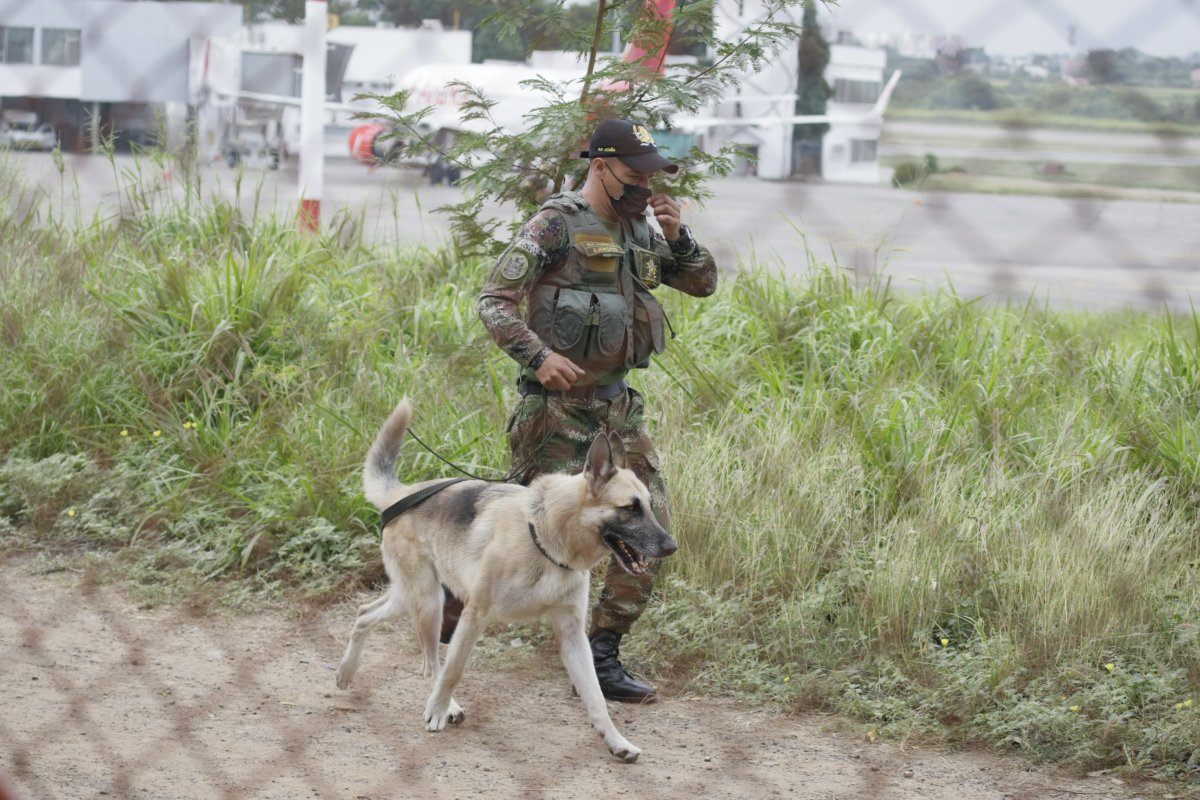 266 militares y policías fueron víctimas de explosivos en 2021 1 266 militares y policías fueron víctimas de explosivos en 2021 Un informe de la Corporación 'MilVíctimas' reveló que el año pasado 266 militares y policías fueron víctimas de artefactos explosivos en Colombia, de los cuales 37 perdieron la vida.
