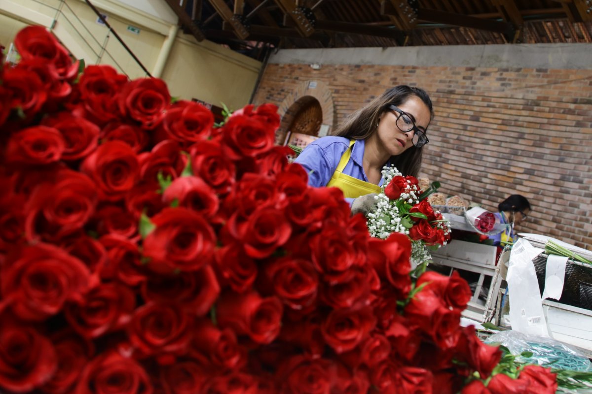 Exportaciones de flores colombianas llegaron a la cifra más alta de la historia 3 Exportaciones de flores colombianas llegaron a la cifra más alta de la historia El 2021 fue un año histórico para el sector floricultor colombiano. Si bien aumentaron los costos de producción por la implementación de medidas de bioseguridad, la pandemia incentivó la compra de flores en todo el mundo porque las personas permanecieron más tiempo en casa.