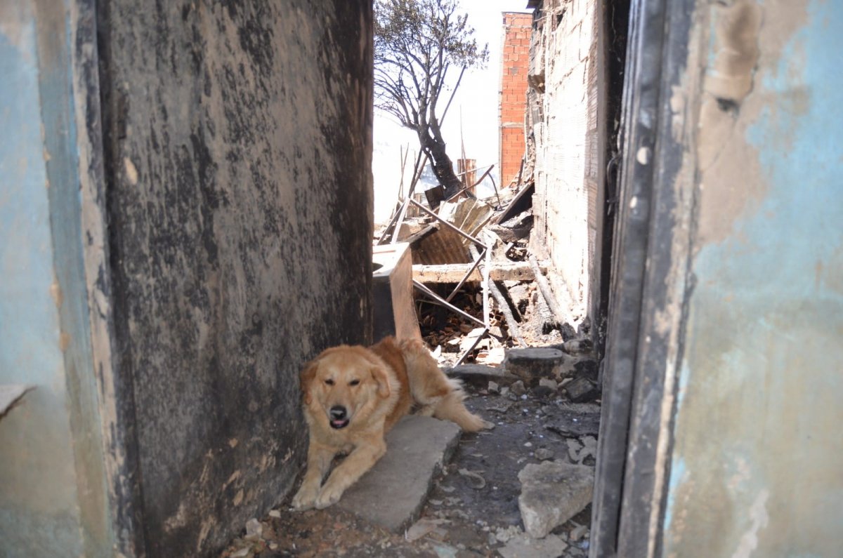 Dolor por menor de 9 años que murió en incendio en Ciudad Bolívar 4 Dolor por menor de 9 años que murió en incendio en Ciudad Bolívar Un tragedia se vivió en horas de la tarde de ayer en el sector de Santo Domingo (Ciudad Bolívar). En el hecho un menor de 9 años murió en un incendio que se registró en varias viviendas ubicadas en zona de alto riesgo de este sector del sur de la ciudad.