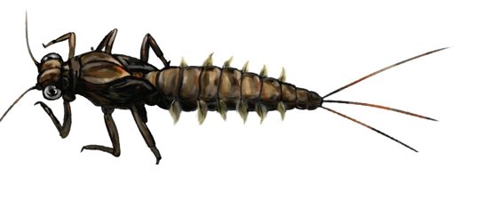 Descubren insectos de 100 millones de años de antigüedad cerca a Bogotá 1 Descubren insectos de 100 millones de años de antigüedad cerca a Bogotá Paleontólogos de la Facultad de Ciencias Naturales de la Universidad del Rosario descubrieron los restos fosilizados de dos insectos de agua dulce en una cantera en el municipio de La Calera, cerca de Bogotá.