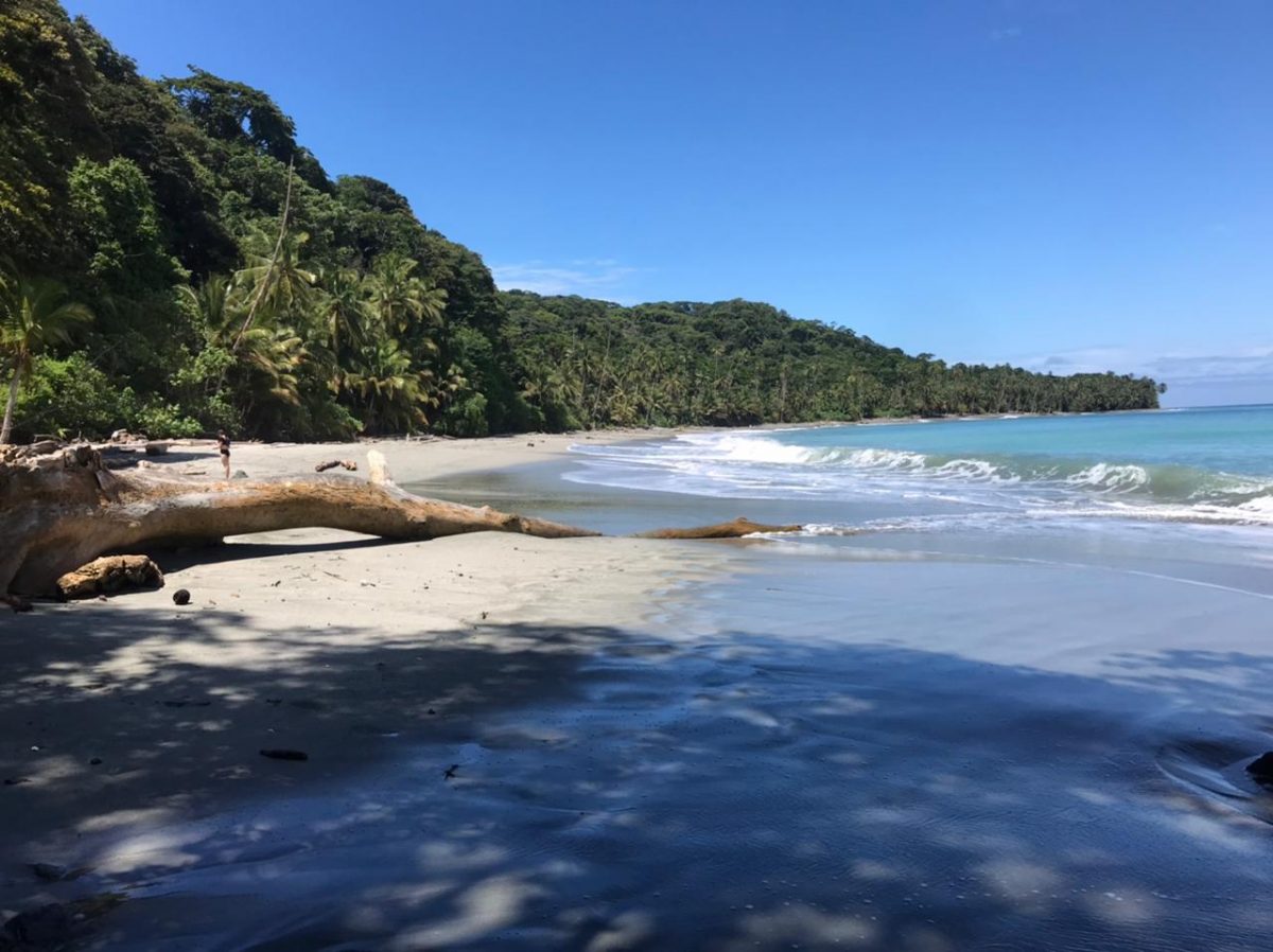 Millonario aporte del Reino Unido a Colombia para proyectos ambientales El ministro de Ambiente del Reino Unido, Lord Zac Goldsmith, anunció este viernes un aporte de dos millones de libras esterlinas para los países miembros del Corredor Marino del Pacífico Este Tropical: Colombia, Costa Rica, Ecuador y Panamá.