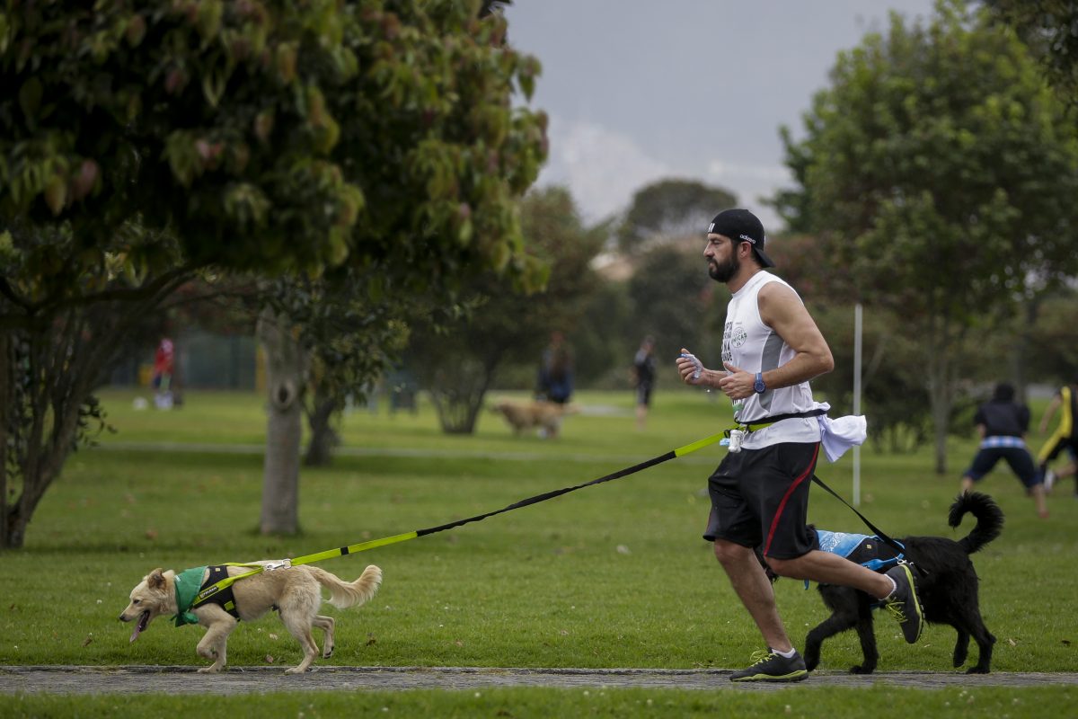Las 5 señales para descubrir si su perro lo quiere 3 Las 5 señales para descubrir si su perro lo quiere El perro es una compañía incondicional que sirve de protector, compañía, consuelo, e incluso hasta de ayuda tanto terapéutica y psicológica. Hoy en día las tiernas mascotas son un ser más de la familia, con celebraciones de cumpleaños, fotos, ropa, seguro médico, variedad de comida, entre otras costumbres que antes eran exclusivas de los humanos, y que hoy las gozan nuestros peludos de cuatro patas.