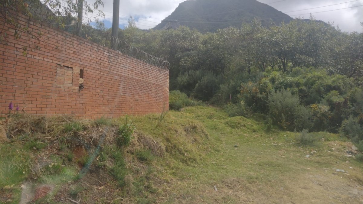 En zona verde de Altos de Zique hallan cuerpo con heridas de puñal Dos personas que caminaban la zona boscosa que atraviesa el barrio Altos de Zique (en San Cristóbal), la tarde de este domingo, se encontraron con una escabrosa escena que les puso los pelos de punta: un hombre yacía en medio del pastizal con lago hemático en su ropa y varias heridas en el cuello y pecho.