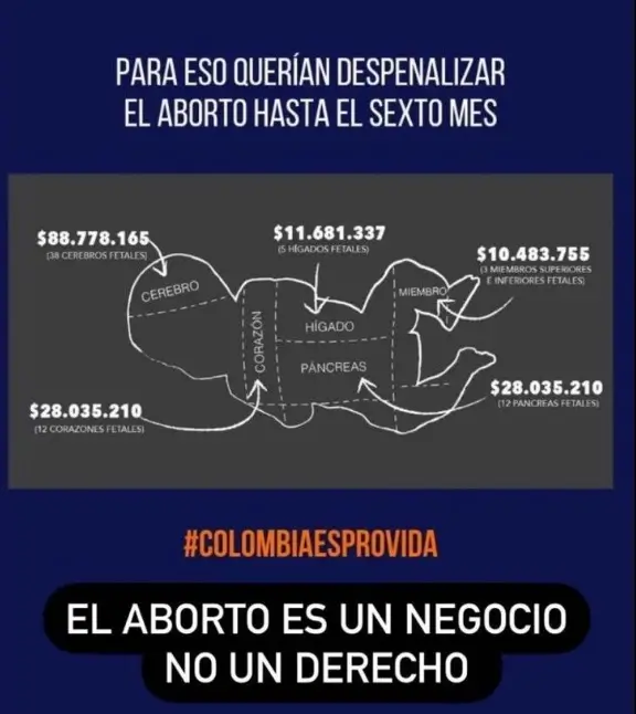 Las críticas a Carolina Cruz por su posición sobre el aborto Carolina Cruz recibió numerosas críticas por una publicación que hizo en redes sociales, en la que relacionó el aborto con el tráfico de órganos de fetos humanos.