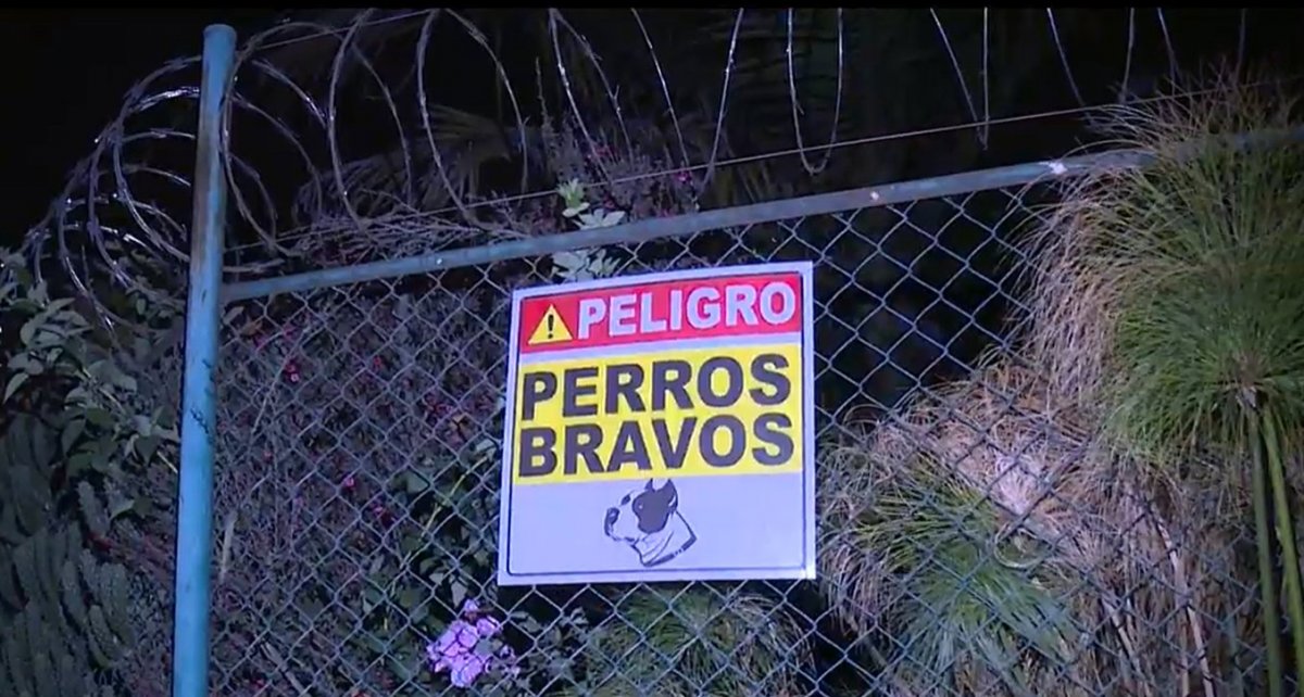 Jauría de perros atacan a conductor y lo dejan gravemente herido Un conductor fue atacado por perros furiosos en una empresa que presta servicio de báscula en el municipio de Madrid, Cundinamarca. Cuando el hombre se bajó del vehículo que maneja, los caninos se le abalanzaron encima y le provocaron varias heridas en su cuerpo.