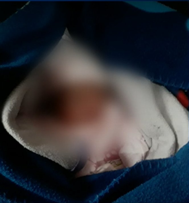 Madre dejó 'botada' a su bebé junto a un caño de Kennedy 2 Madre dejó 'botada' a su bebé junto a un caño de Kennedy La madre de una bebé de tan solo 15 días de nacida se dirigió en medio de la noche del lunes, a un lugar solo y oscuro para dejar botada a su pequeña hija. En su afán por huir, una mujer que se dedica al reciclaje vio lo que estaba sucediendo y se acercó, ante esto la progenitora le dijo que no podía tenerla y se marchó.