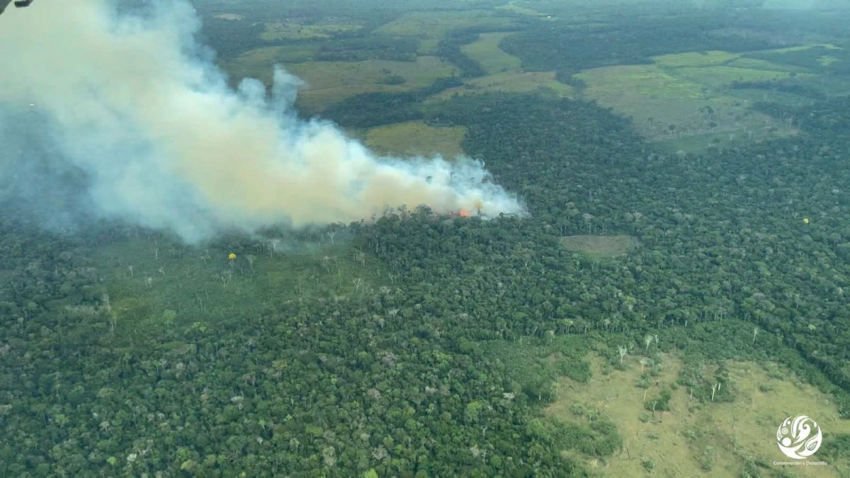 Calidad del aire en Bogotá se vería afectada La Secretaría de Ambiente de Bogotá informó que debido a los incendios forestales que se han presentado durante los últimos días en varias regiones del país, y en parte de Venezuela, la calidad del aire de Bogotá y otras partes del territorio se podrían ver afectadas.
