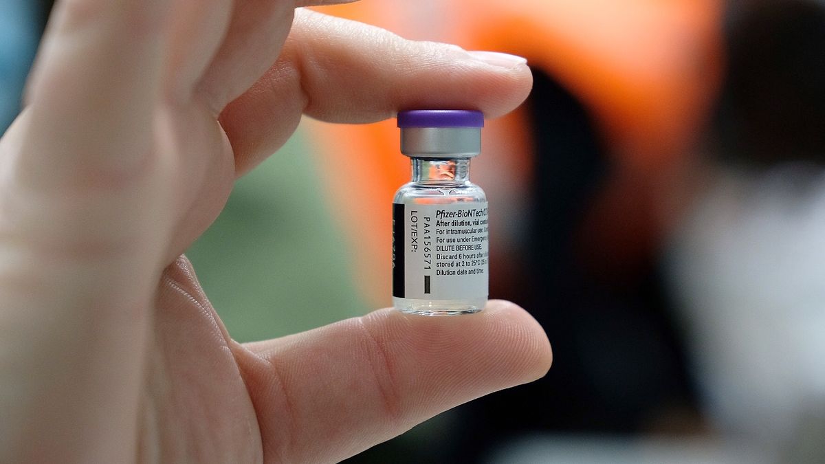 Suero de caballo para tratar el COVID 3 Suero de caballo para tratar el COVID Durante el pasado fin de semana, el Invima publicó un reporte mediante el cual anunciaba los medicamentos contra el COVID que eran aprobados para ser usados en el país.