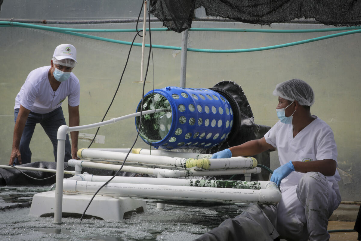 ¡Pilas! El SENA destinará $18.000 mil millones a los 90 proyectos más innovadores 2 ¡Pilas! El SENA destinará $18.000 mil millones a los 90 proyectos más innovadores El SENA en conjunto con Colombia Productiva, hicieron oficial el lanzamiento de la iniciativa SENAInnova, en la cual se van a destinar $18.000 millones de pesos para impulsar a 90 proyectos en el país que promuevan la innovación, el uso de tecnologías y la transferencia de conocimientos.