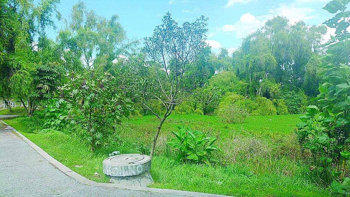 Hallan cadáver en el Humedal Jaboque 1 Hallan cadáver en el Humedal Jaboque Eran las 11 de la mañana del lunes cuando fue hallado el cadáver entre los matorrales, ubicados al borde de las aguas del caño que está justo al final de la calle 116 B con carrera 70C, en el humedal. El Cuerpo de Criminalística acordonó el área para que los curiosos que se encontraban en el Conjunto Residencial Parque Engativá no se acercaran a ‘chismosear’.